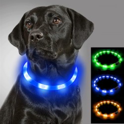 Collar Luminoso Led Para...